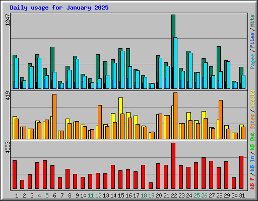 Daily usage for January 2025