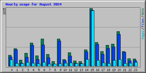 Hourly usage for August 2024