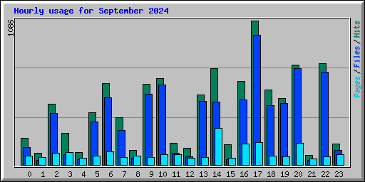 Hourly usage for September 2024