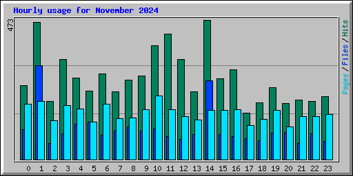 Hourly usage for November 2024