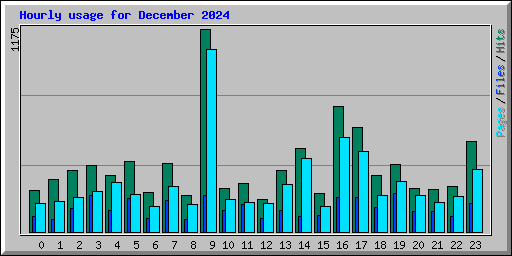 Hourly usage for December 2024