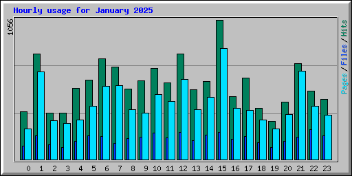 Hourly usage for January 2025