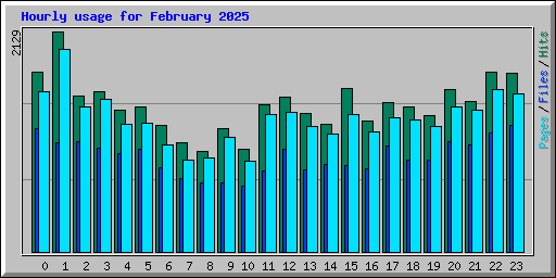 Hourly usage for February 2025